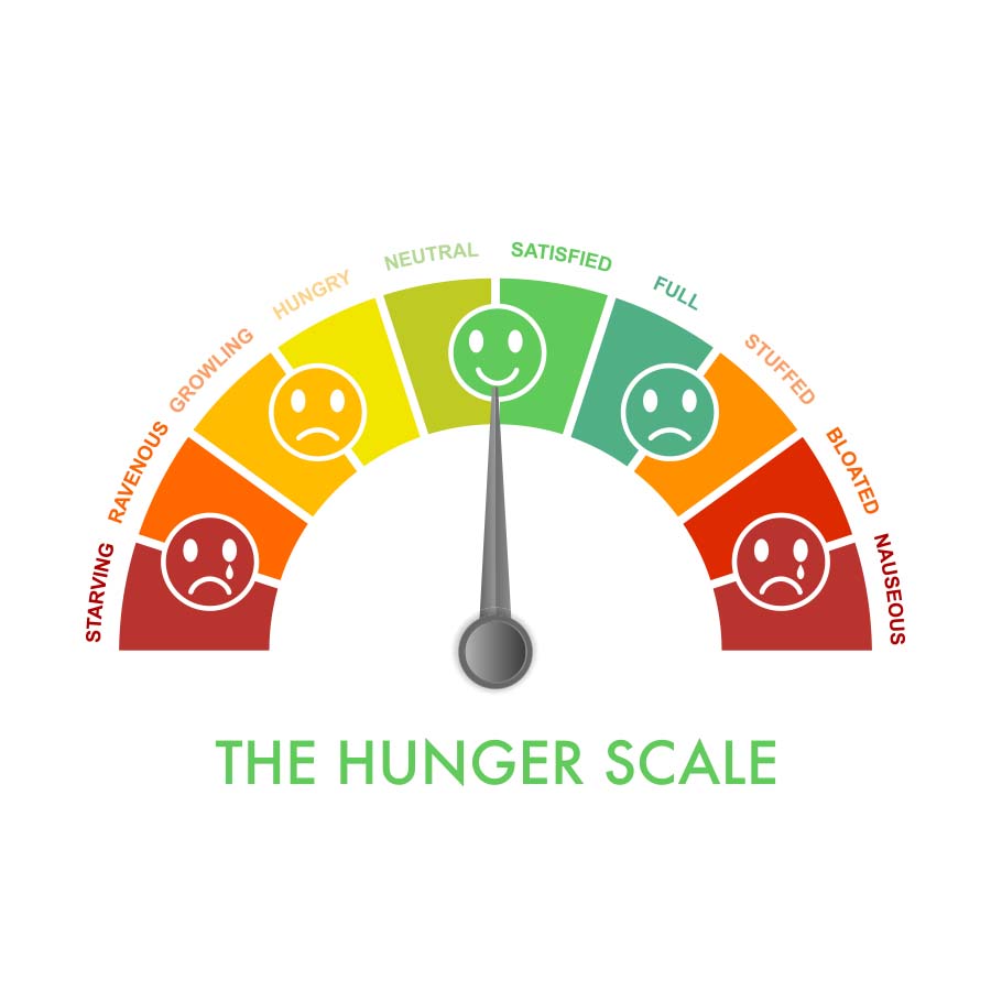 Hunger scale graphic illustrating levels from starving to nauseous, emphasizing appetite regulation in medical weight loss programs.